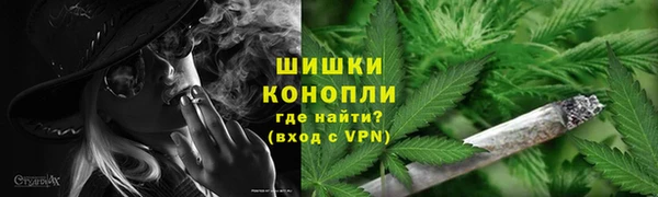 ГАЛЛЮЦИНОГЕННЫЕ ГРИБЫ Абаза