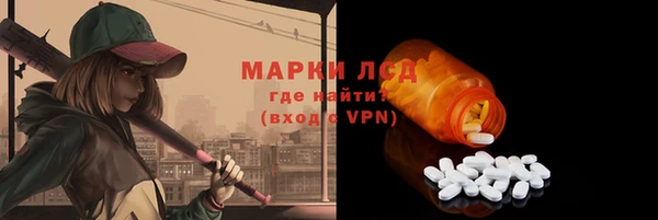 ГАЛЛЮЦИНОГЕННЫЕ ГРИБЫ Абаза