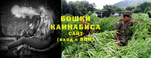 ГАЛЛЮЦИНОГЕННЫЕ ГРИБЫ Абаза