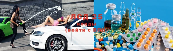 ГАЛЛЮЦИНОГЕННЫЕ ГРИБЫ Абаза