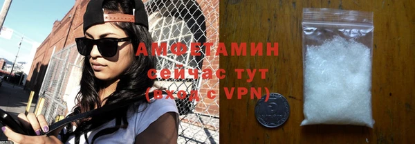 ГАЛЛЮЦИНОГЕННЫЕ ГРИБЫ Абаза