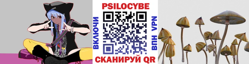 blacksprut вход  купить наркотик  Никольск  Галлюциногенные грибы Magic Shrooms 